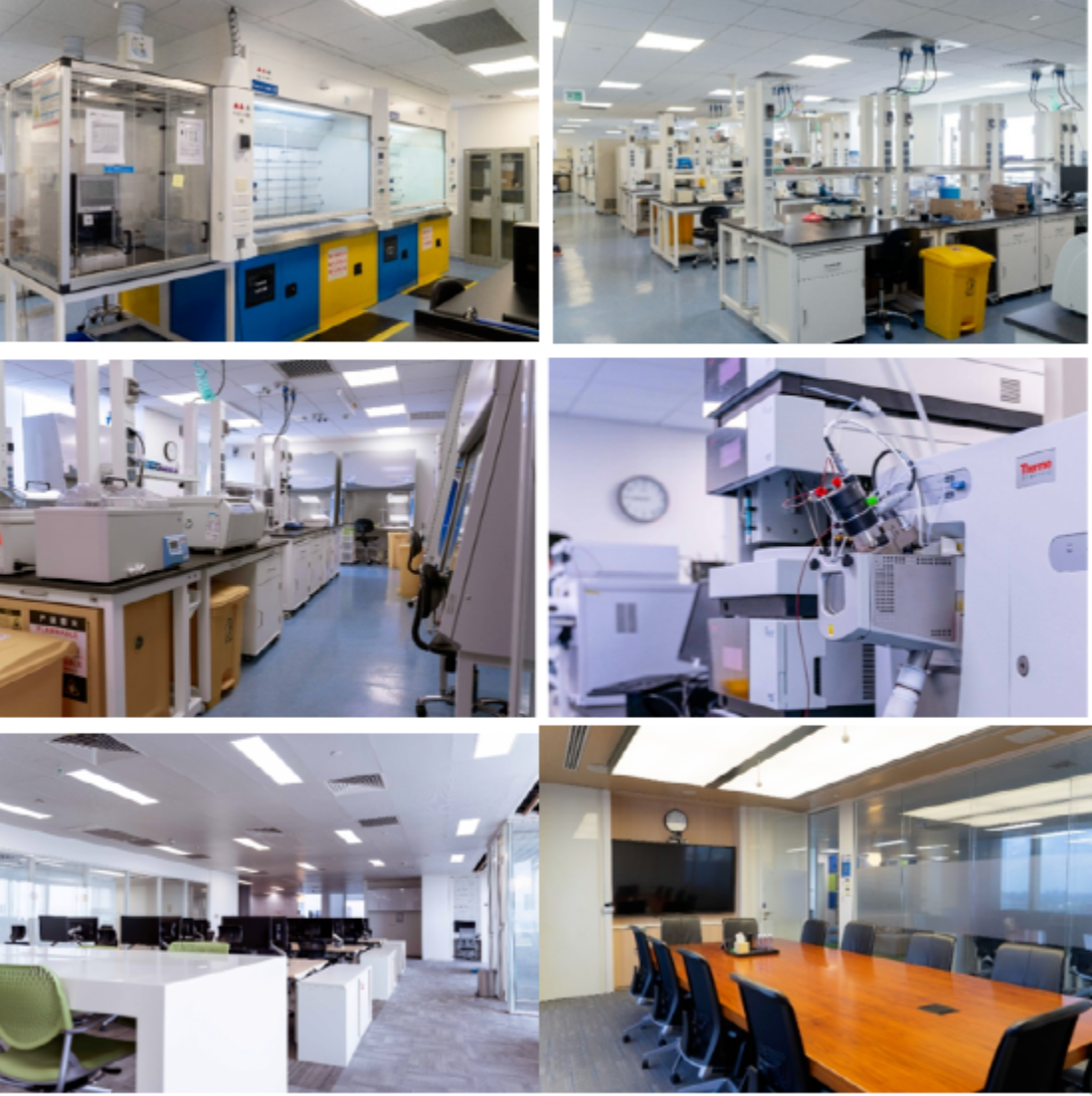 Tee Labs Officially Put into Operation